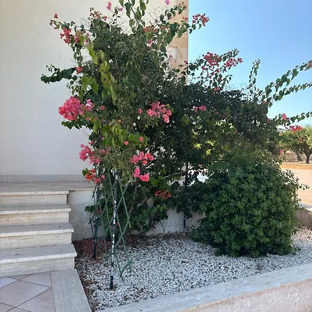 Benjamin בית נופש